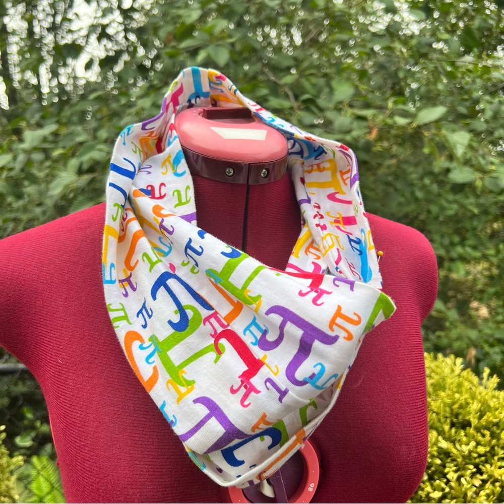 Princess Awesome Pi Infinity Scarf